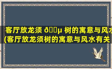 客厅放龙须 🐵 树的寓意与风水(客厅放龙须树的寓意与风水有关吗)
